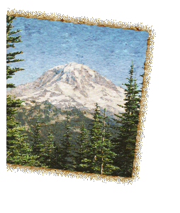 Mt Rainier photo